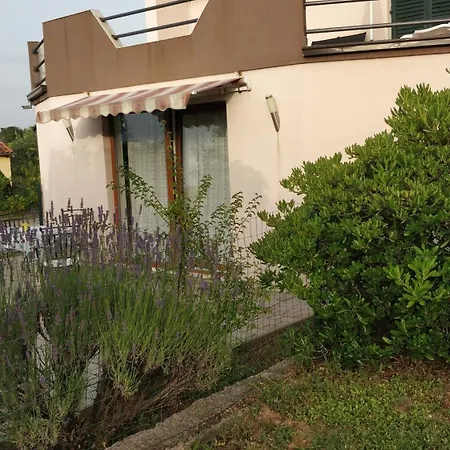 Apartment Lavinia Zadar